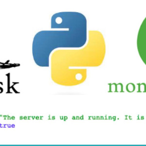 Flask REST API with MongoDB